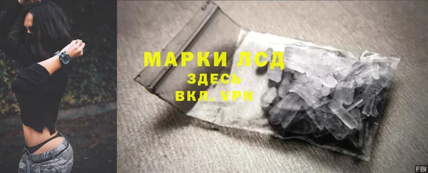 сатива Бородино