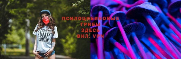 шишки Богородск