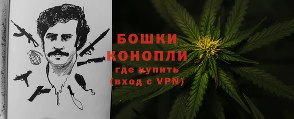 сатива Бородино