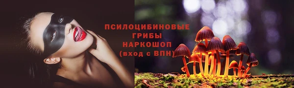 сатива Бородино