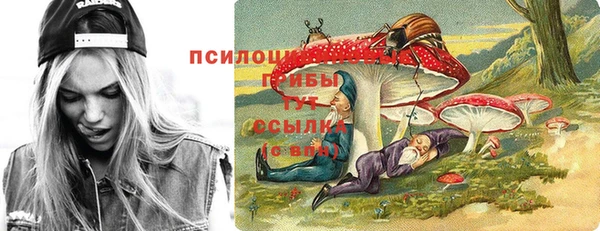 apvp Бронницы