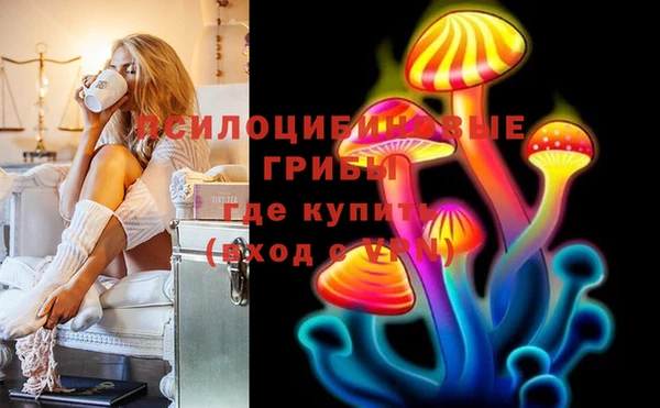 сатива Бородино
