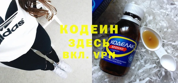 сатива Бородино
