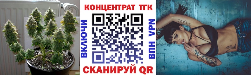 ТГК Wax Елизово