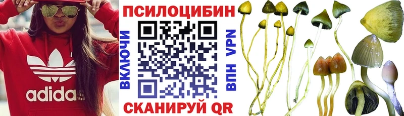 что такое наркотик Елизово Псилоцибиновые грибы ЛСД
